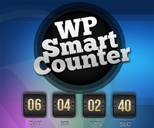WP SmartCounter 150x220