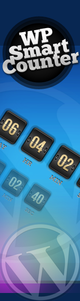 WP SmartCounter 160x600