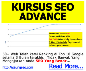 Kursus Advance SEO - Saung Seo 300x250