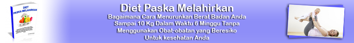 Diet Pasca Melahirkan 728x90