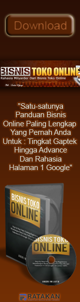 Bisnis Toko Online 160x600